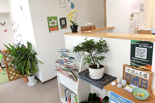 スッキリ整骨院 福生院